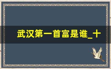 武汉第一首富是谁_十堰出名的大老板