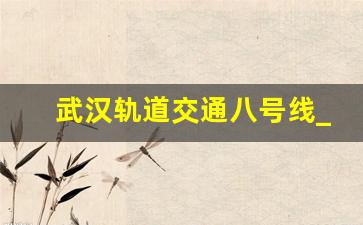 武汉轨道交通八号线_武汉地铁8号线的运营时间