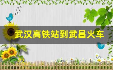 武汉高铁站到武昌火车站怎么去_武汉站去武昌站坐几号地铁