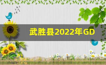 武胜县2022年GDP