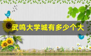 武鸣大学城有多少个大学_武鸣为什建大学城了呢