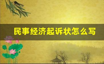 民事经济起诉状怎么写模板_自己写起诉书怎么写