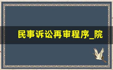 民事诉讼再审程序_院长发现再审审理流程