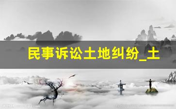 民事诉讼土地纠纷_土地争议可以直接起诉吗