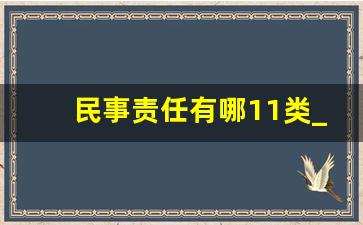 民事责任有哪11类_哪项不属于民事责任的类型