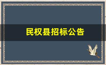 民权县招标公告