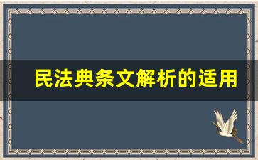 民法典条文解析的适用范围