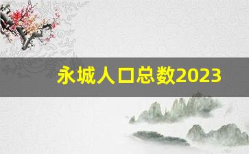 永城人口总数2023_永城市有几个县