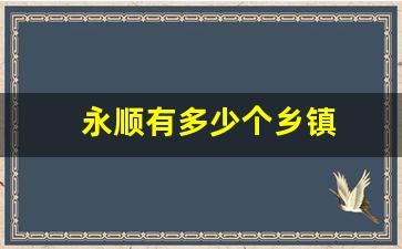 永顺有多少个乡镇