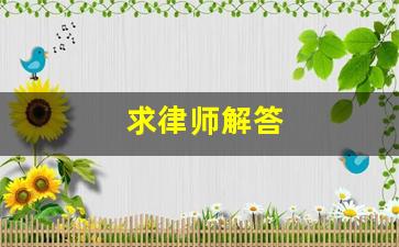 求律师解答