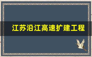 江苏沿江高速扩建工程