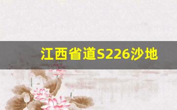 江西省道S226沙地横市段路线