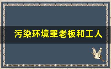 污染环境罪老板和工人的责任_污染环境罪最轻的处罚