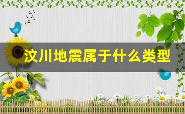 汶川地震属于什么类型地震_汶川大地震都江堰受灾情况