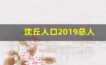 沈丘人口2019总人数口_东北人口2019总人数口