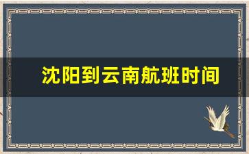 沈阳到云南航班时间