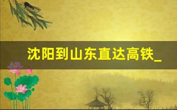 沈阳到山东直达高铁_沈阳到山东东营高铁多长时间到