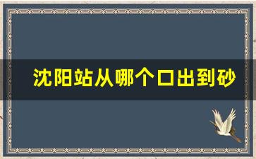 沈阳站从哪个口出到砂平街