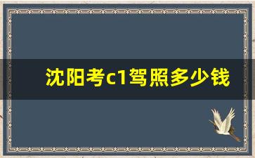 沈阳考c1驾照多少钱_沈阳驾校价格一览表