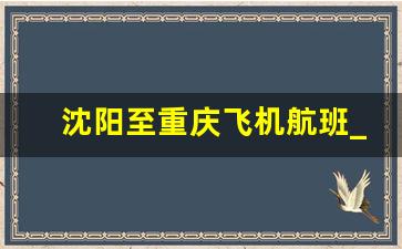 沈阳至重庆飞机航班_重庆到沈阳的航班