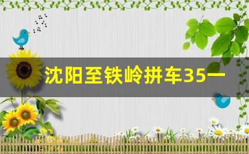 沈阳至铁岭拼车35一位_沈阳拼车电话