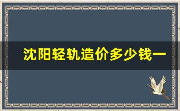 沈阳轻轨造价多少钱一辆_轻轨造价高还是地铁造价高