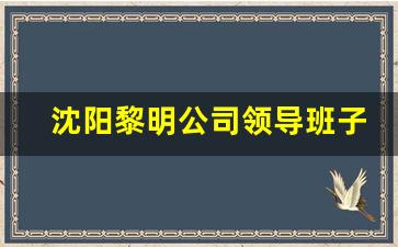 沈阳黎明公司领导班子_黎明公司现在领导名单