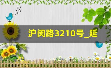 沪闵路3210号_延安东路300号