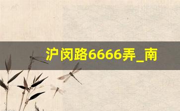 沪闵路6666弄_南六公路399弄