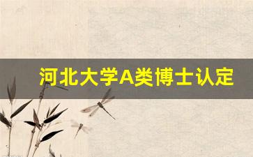 河北大学A类博士认定标准_河北大学校聘副教授待遇