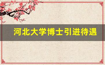 河北大学博士引进待遇_河北大学A类博士认定标准