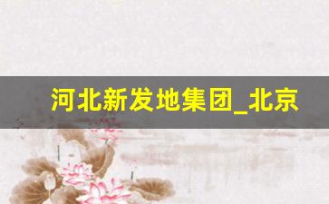 河北新发地集团_北京新发地广平分市场