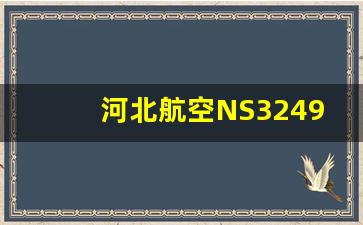 河北航空NS3249_河北航空ns3285座位图