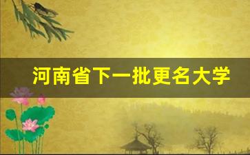 河南省下一批更名大学名单_河南即将升一本的大学