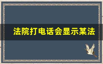 法院打电话会显示某法院吗