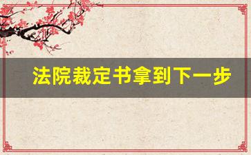 法院裁定书拿到下一步_裁定书下来还能调解吗