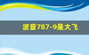 波音787-9是大飞机吗