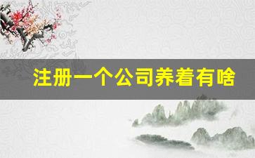 注册一个公司养着有啥用_代办注销公司一般多少钱