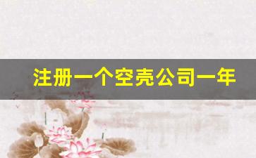 注册一个空壳公司一年交多少费用_公司注册代办