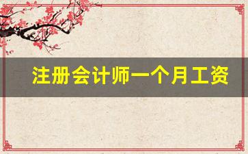 注册会计师一个月工资_大专考了cpa也没用