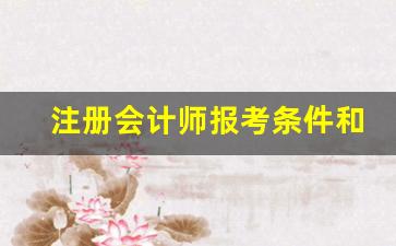 注册会计师报考条件和时间2023