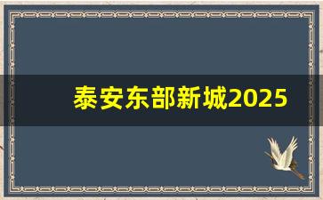 泰安东部新城2025规划图