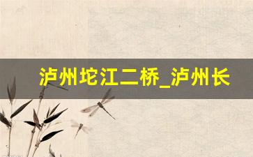 泸州坨江二桥_泸州长江二桥简介资料