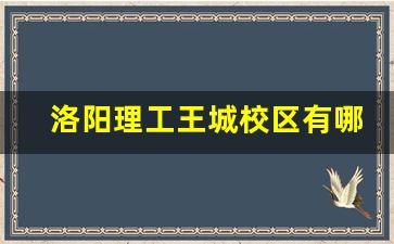 洛阳理工王城校区有哪些专业_洛阳理工在河南算好吗