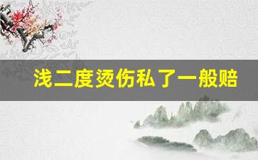 浅二度烫伤私了一般赔多少_深二度烫伤16天恢复图