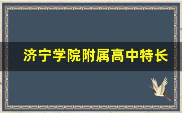 济宁学院附属高中特长生招生简章_济宁哪家艺考文化课班最好