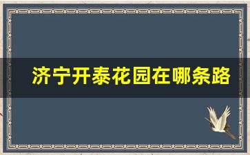 济宁开泰花园在哪条路_济宁开泰花园是什么时候建的