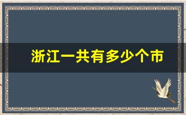 浙江一共有多少个市