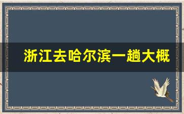 浙江去哈尔滨一趟大概多少钱_坐火车去哈尔滨多少钱