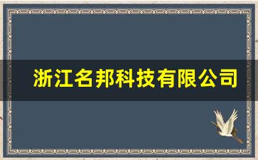 浙江名邦科技有限公司招聘